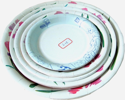 Paper plate machine_paper tray machine