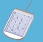 Illuminated Keypad