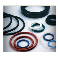 oil seal