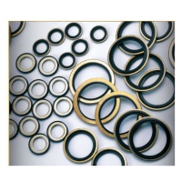 oil seal