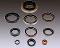 Oil seals