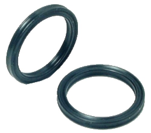 Oil Seals