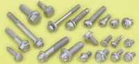 Alloy Steel Screws, Trim Hex Flange Screws, Auto Screws