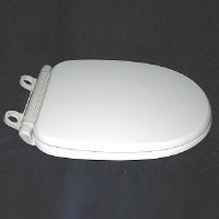 Mold Wood toilet seat