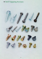 Self Tapping Screws