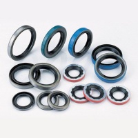 Oil Seal