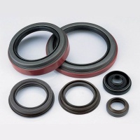 Oil Seal