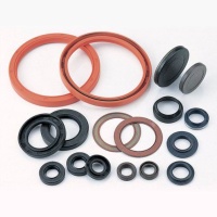 Oil Seal