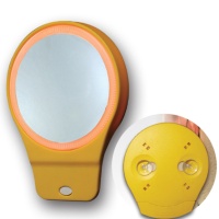 cosmetics mirror