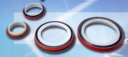 Oil Seals