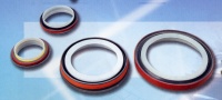 Oil Seals