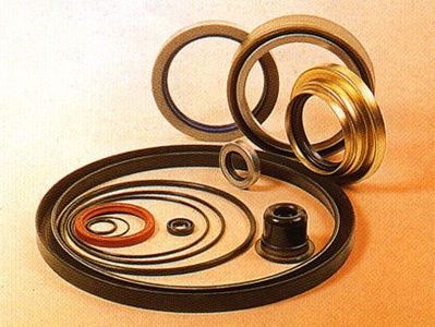 Oil Seals