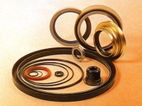 Oil Seals