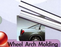 Wheel Arch Molding