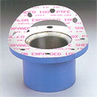 PTFE GASKET