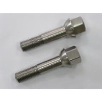 Titanium auto wheel bolt