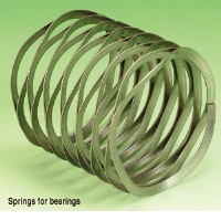 Springs for bearings