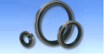 Oil Seal