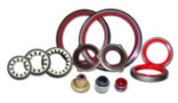 Oil Seal