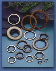 Oil Seal