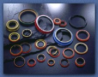 Oil Seal