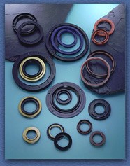 Oil Seal