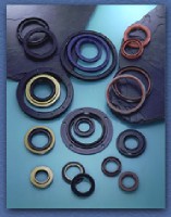 Oil Seal