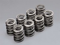 VALVE SPRING