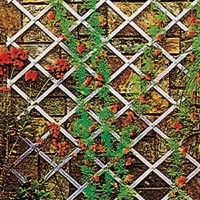 Folding Decorative Trellis