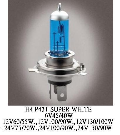 Halogen Bulbs