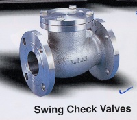 Swing Check Valve